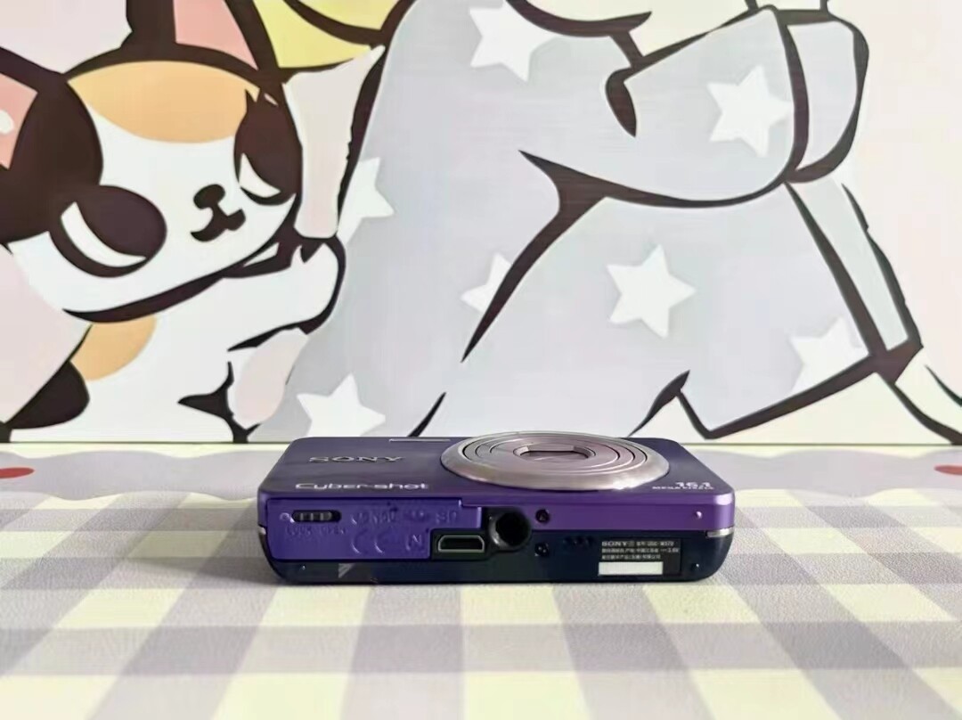 SONY Cyber-shot DSC-w570 16.1MP 5x Optical Zoom Digital Camera