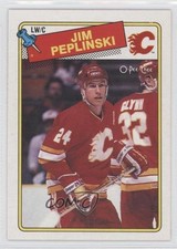 1988-89 O-Pee-Chee Jim Peplinski #243 0a1