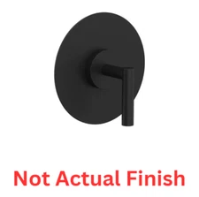 Phylrich 4-500-041 Pressure Balance Shower Valve Handle Trim in GLOSS BLACK New!
