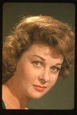 Susan Hayward 1960's Glamour Photo Shoot Portrait Original 35mm Transparency