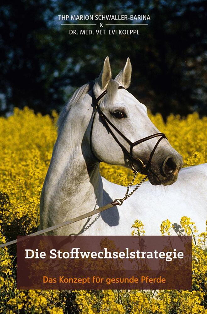 Thumbnail - Die Stoffwechselstrategie - Marion Schwaller-barina / Evi Dr. Med.