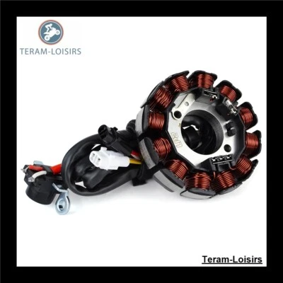 Stator Allumage pour GAS GAS EC 250 F Enduro 4T de 2013 2014 2015 - Photo 1/4
