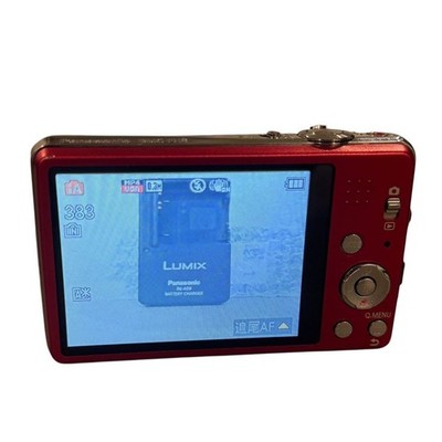 Panasonic LUMIX DMC-FH8 レッド Panasonic LUMIX DMC-FH8 Red Digital Camera Tested Excellent