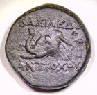 SELEUKID King Antiochos IV LAODICE IV Elephant Head Greek Bronze Coin 15mm 4.90g — photo 1