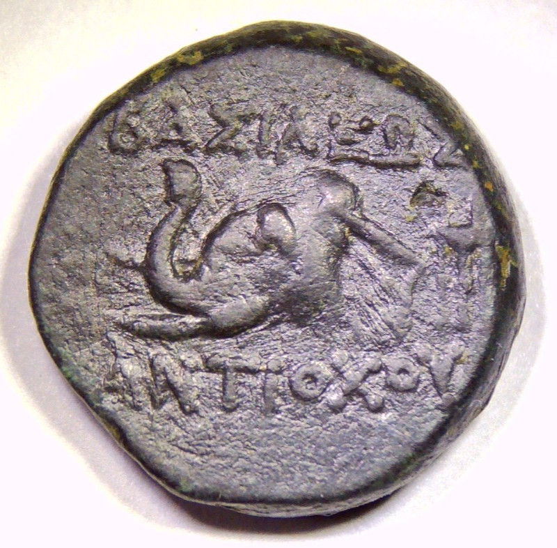 SELEUKID King Antiochos IV LAODICE IV Elephant Head Greek Bronze Coin 15mm 4.90g