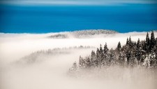 Landscape winter snow nature trees pine mist Custom Gaming Mat Desk