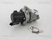 Triscan Agr-Ventil 8813 28003 FüR CitroËN Ford Peugeot Toyota