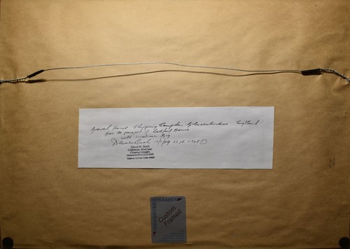 David Birch Signed Watercolor-Grevel House, Chipping Campden, Gloucestershire - Picture 10 of 11
