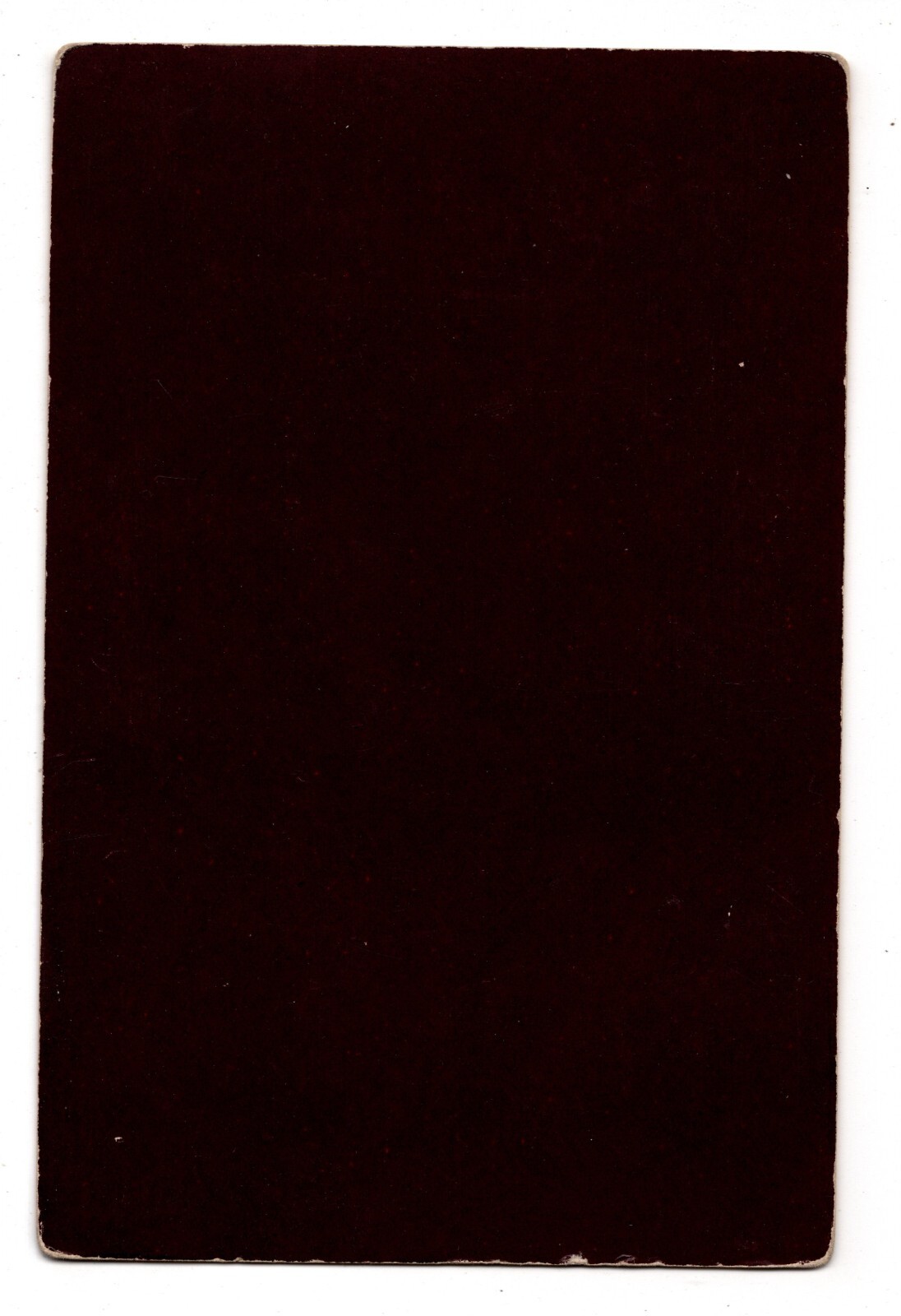 CIRCA 1880s CABINET CARD CATHOLIC REVERAND TIMOTHY DAMAHY MISSIONARY IN SAMOA — additional view