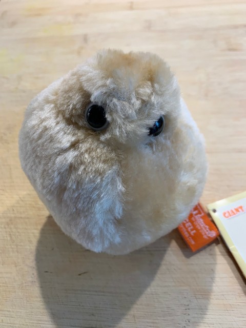 fat cell plush