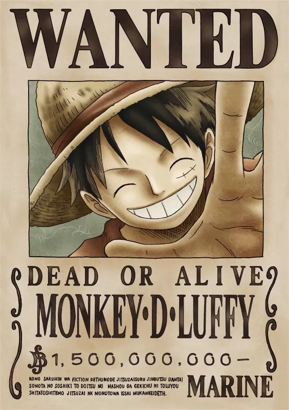 Poster Wanted One Piece – Baggy Store