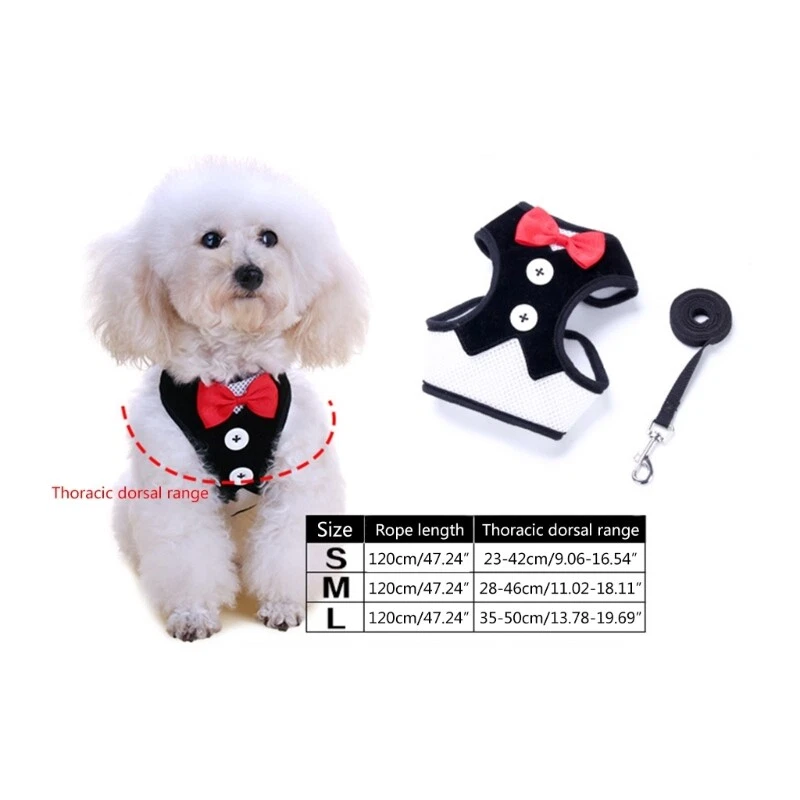 Dog Harness with Leash Set No Choke Puppy Breathable Vest for Small Dog