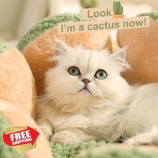 CWV Cactus Cat Bed Small Dog Puppy Kitten 23 Inch