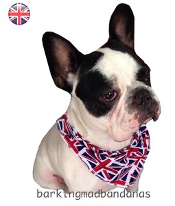 union jack dog bandana