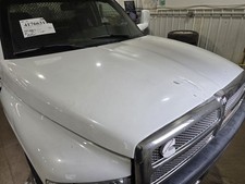 Hood Fits 94-02 Dodge 2500 Pickup 625487