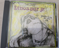 Dinosaur jr. - Youre Living All Over Me