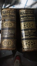 Gunn’s Newer Family Physician Home Book of Health and Health