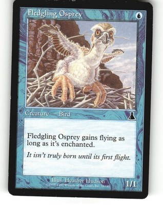 Magic TCG Card Fledgling Osprey