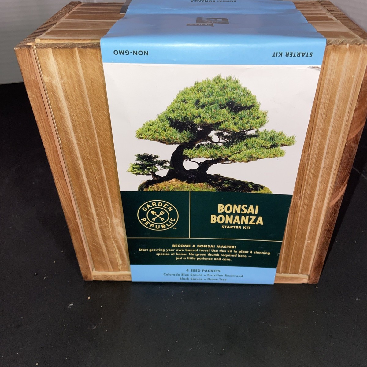 Bonsai Tree Starter Kit Indoor Grow Seeds Soil Mini Plant Kit Gift Set |  eBay