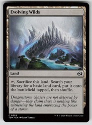 Evolving Wilds #255 Tarkir: Dragonstorm Common MTG