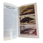 Foto 10 di 11