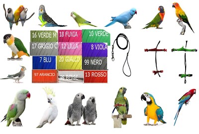 AMAZONE Parrot Elastic Harness PLASTIC QUICK ADJUSTABLE Attachments