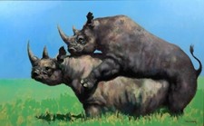 Large Contemporary Oil Painting Mating Rhinos by Artist Joel Kirk