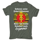 Bild 5 von 8