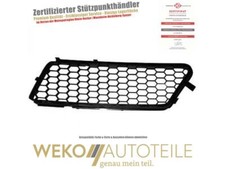 Lüftungsgitter, Stoßfänger rechts DIEDERICHS 3052044 für ALFA ROMEO