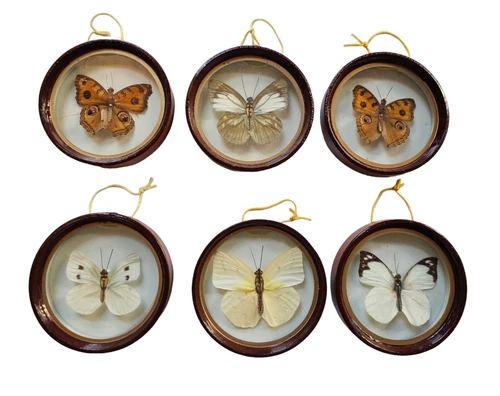 Vintage Mid Century Modern Enesco Set 6 Butterflies Round Acrylic Frames Taiwan
