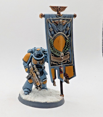 Warhammer 40k Space Wolves Ancient Space Marines Painted Battle Ready GW 40 k