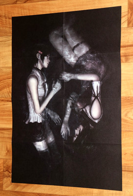 Fatal Frame Maiden of Black Water Project Zero Rare Poster limited edition