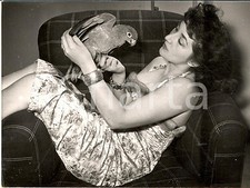 1955 ROMA Attrice Gianna ALFIERI in poltrona con un pappagallo *Foto 18x13 cm