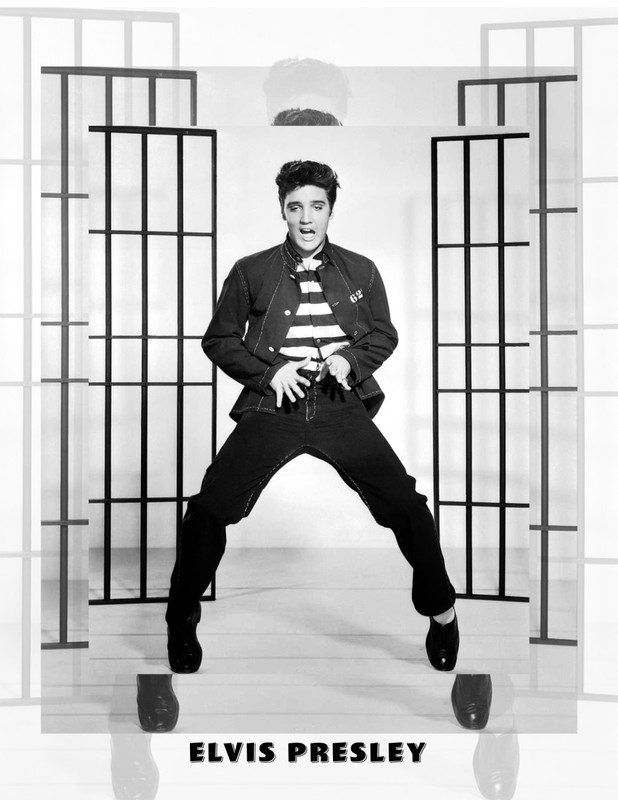 Elvis Presley Promotional Photo Replica, 8 1/2 X 11 Inches, Glossy.