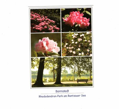 AK Ansichtskarte Barmstedt / Rhododendron-Park am Rantzauer See | eBay.de