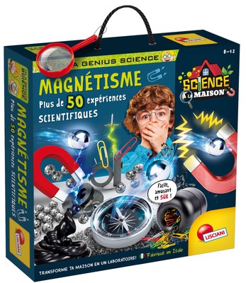   I'm A Genius Magnetismus   über 50 wissenschaftliche Experimente auf Magnet...