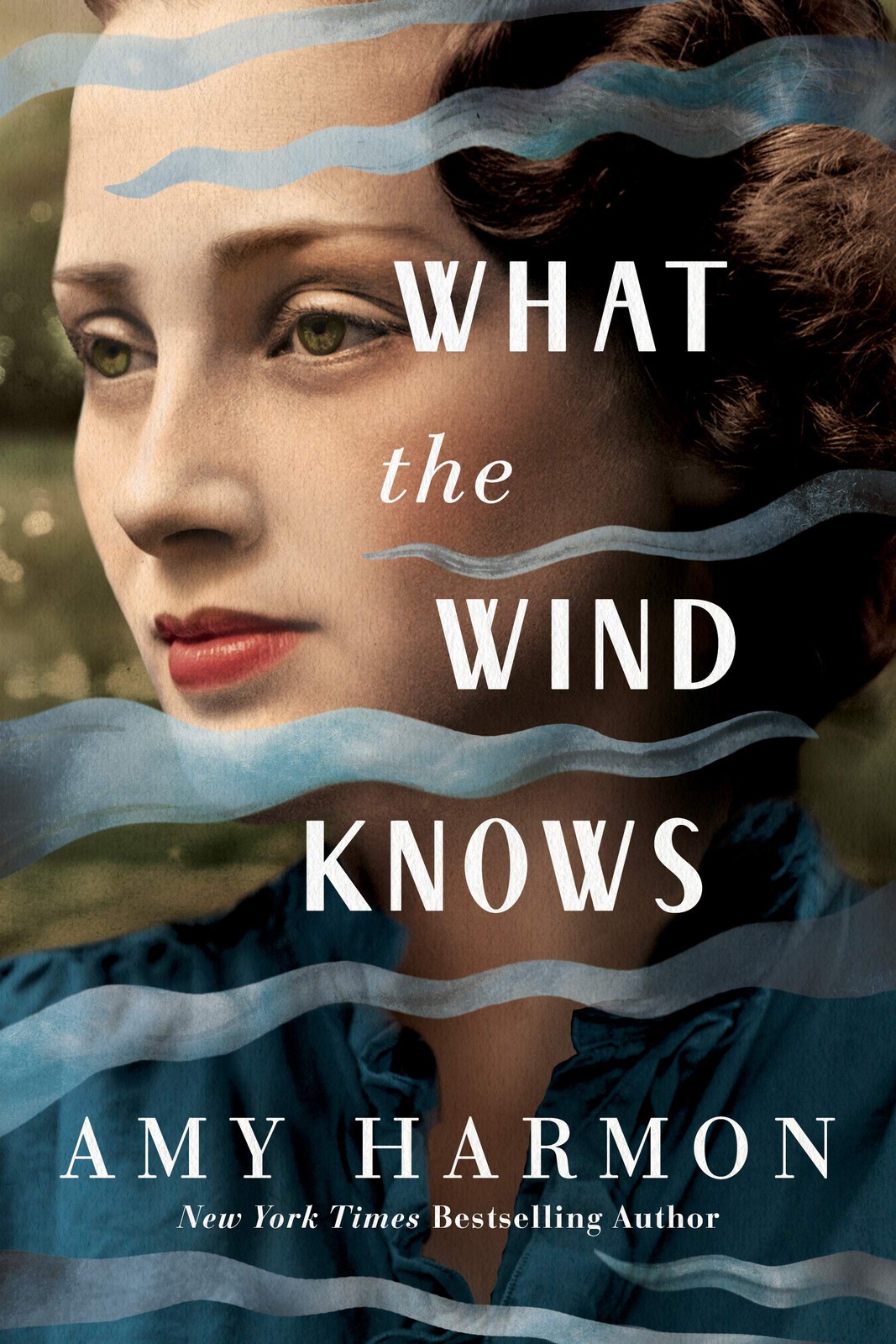 What The Wind Knows Amy Harmon - Image 5