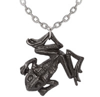 Alchemy Gothic Schwarzer Paddock AnhäNger Wicca Amulett Frosch Zinn P987