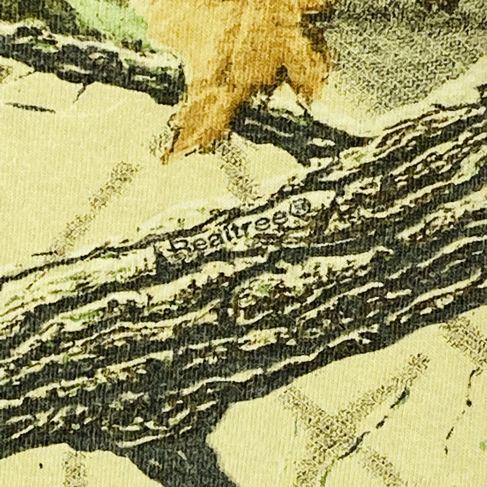 Picture 6 of 14