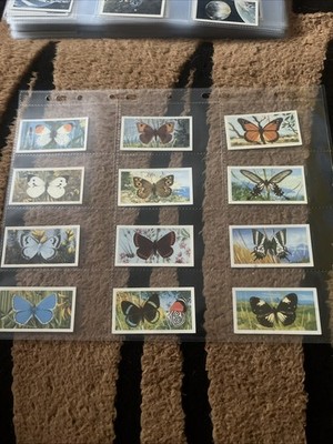 Vintage BROOKE BOND TEA Card Collection+ Collector Plastic Sleeve