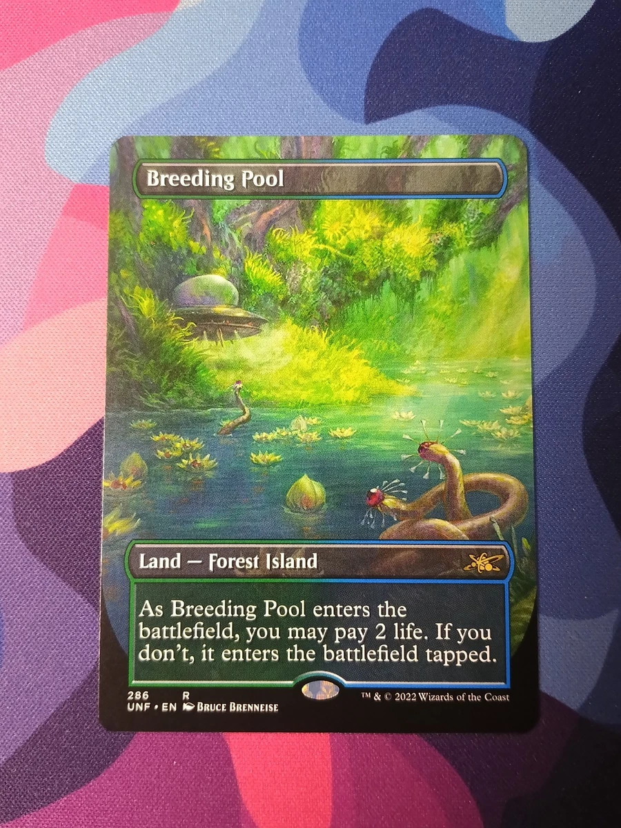 Breeding Pool for sale | eBay