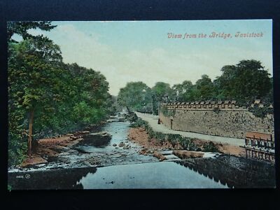 Devon TAVISTOCK Das Wehr von der Brücke um 1910 Postkarte von Valentine