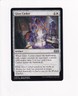 2023 MTG MAGIC THE GATHERING WILDS OF ELDRAINE GLASS CASKET