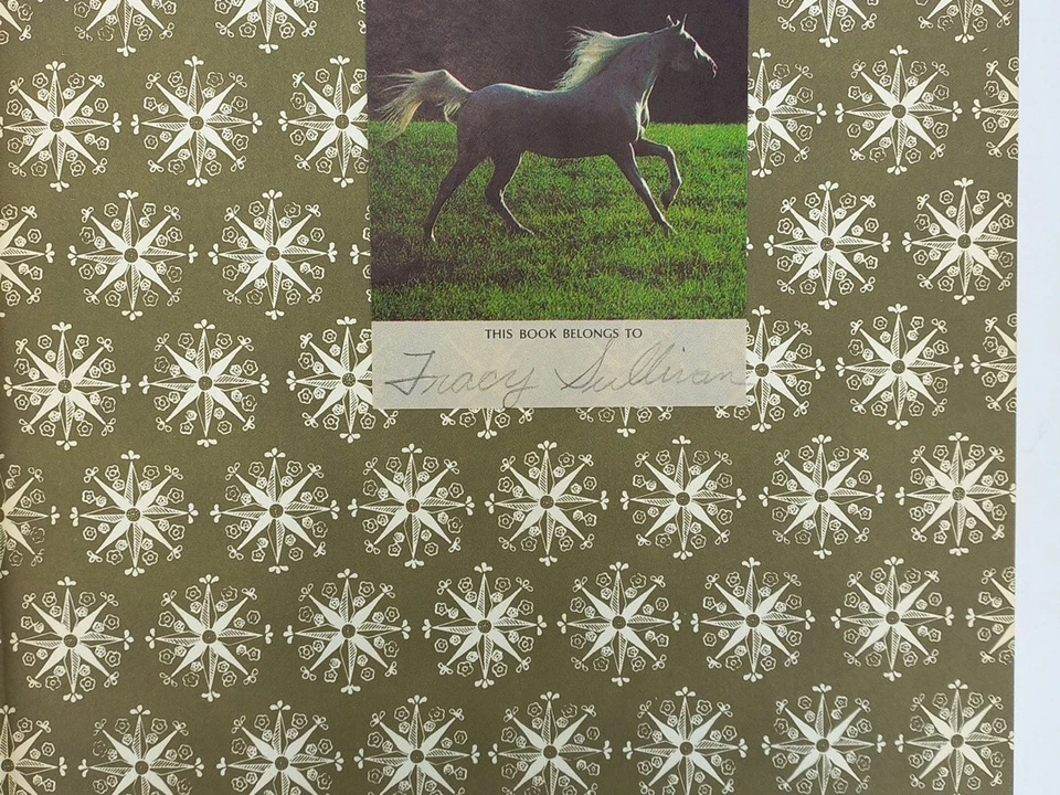 The Annotated Alice -Alice in Wonderland, Thru Looking Glass illustr 1960 HCDJ - Image 4 of 4