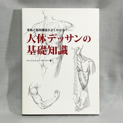 Basic Knowledge Of Human Body Drawing Written By Barrington Barber