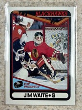 1990-91 Topps #214 Jimmy Waite Chicago Blackhawks RC Top Prospects  🥅  Goalie