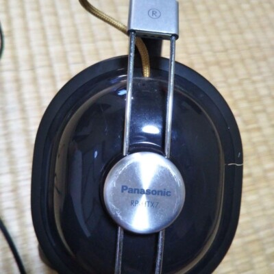 Panasonic RP-HTX7 Hermetically Sealed Headphone Black Good | eBay