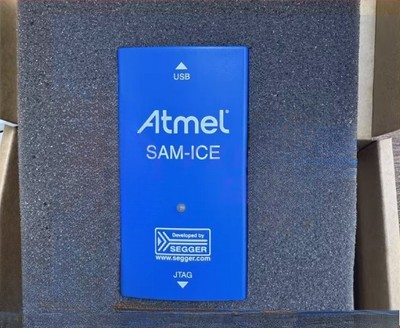 ATMEL SAM-ICE