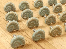 20 Drawer Pulls Snail Bathroom Decor Nautical Knobs Handles Kitchen Cabinet Knob