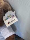 Build-A-Bear BAB Carnival Cruise Line St Jude CARE TO PLAY Plush Teddy Bear — photo 2
